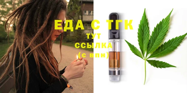 хмурый Аркадак