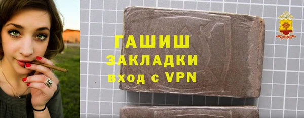 хмурый Аркадак