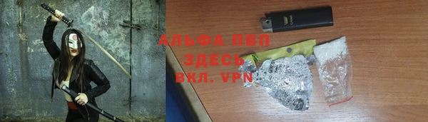 хмурый Аркадак