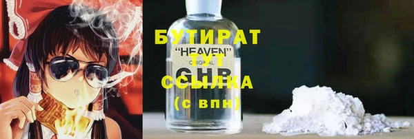 хмурый Аркадак