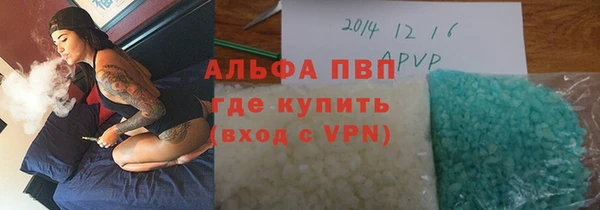 хмурый Аркадак