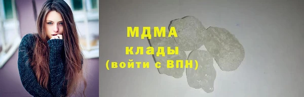 хмурый Аркадак