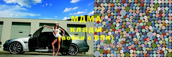 хмурый Аркадак