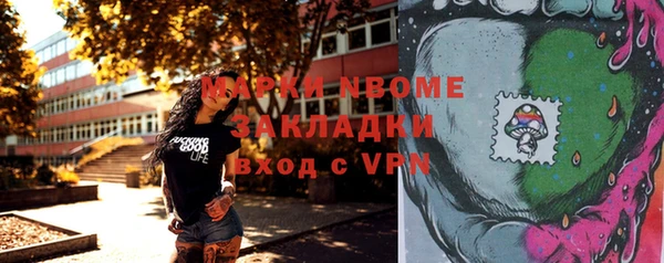 хмурый Аркадак