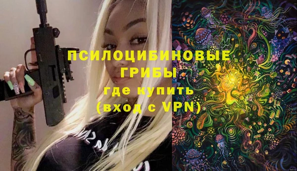 прущая мука Армянск