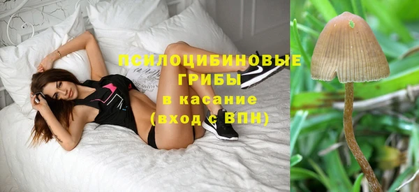 прущая мука Армянск